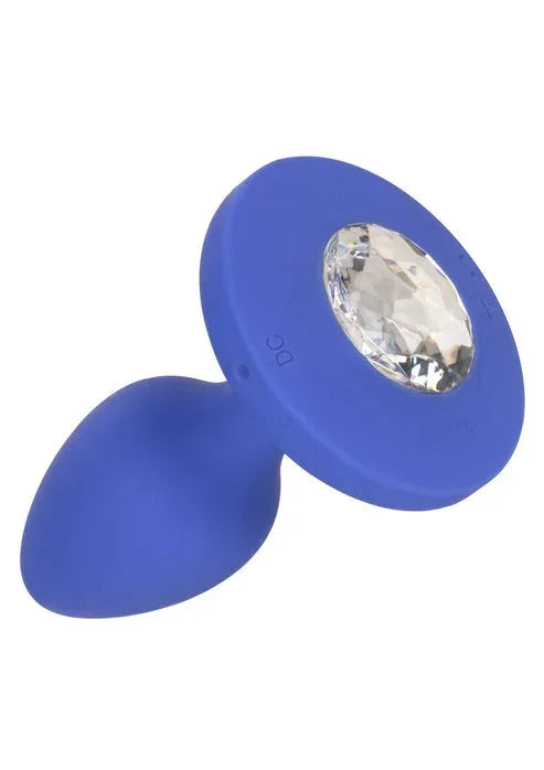 Bestel: Vibrating Probe Medium by CalExotics - bij Happytoys.nl, happytoys.be, Happytoys.ae: erotische sex webshop | liever Happy dan Easy ⭐⭐⭐⭐⭐