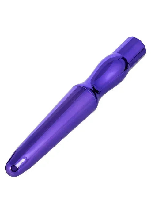 Bestel: Rechargeable Anal Probe by CalExotics - bij Happytoys.nl, happytoys.be, Happytoys.ae: erotische sex webshop | liever Happy dan Easy ⭐⭐⭐⭐⭐
