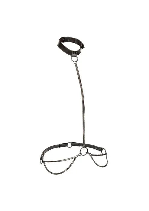Bestel: Chain Halter & Collar Plus by CalExotics - bij Happytoys.nl, happytoys.be, Happytoys.ae: erotische sex webshop | liever Happy dan Easy âââââ - Default Title - 16772 - BLACK