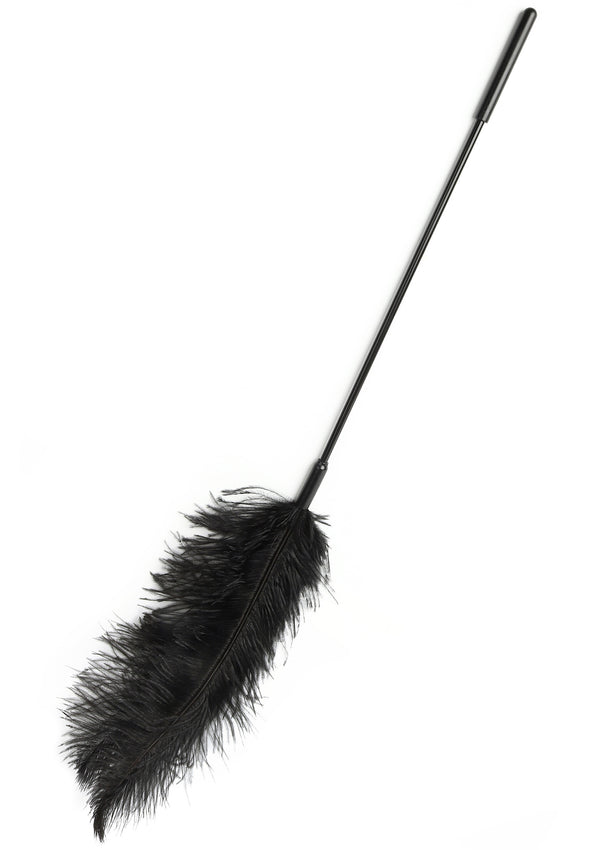 Double Feather Tickler by Hidden Desire Extreme