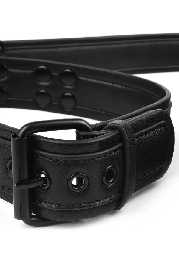 Bestel: Signature Collar & Leash Vantage 8 Avanza - bij Happytoys.nl, happytoys.be, Happytoys.ae: erotische sex webshop | liever Happy dan Easy âââââ