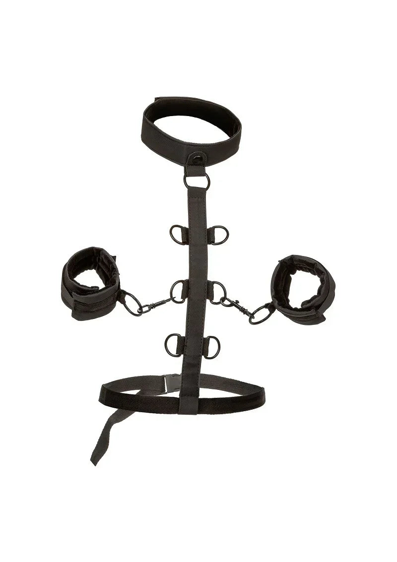 Bestel: Boundless Collar Body Restraint by CalExotics - bij Happytoys.nl, happytoys.be, Happytoys.ae: erotische sex webshop | liever Happy dan Easy ⭐⭐⭐⭐⭐