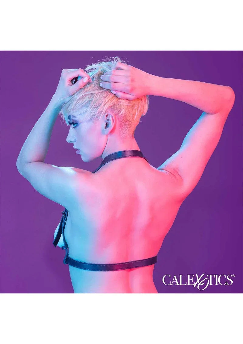 CalExoticsEuphoriaCollectionHalterBuckleHarness6 @ Happytoys Sexshop: online sex shop for Feeling Happy & Easy 😊 the erotic store owned by a woman