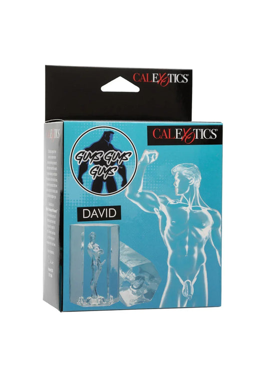 GuysGuysGuysDavidbyCalExotics2 @ Happytoys Sexshop: online sex shop for Feeling Happy & Easy π the erotic store owned by a woman