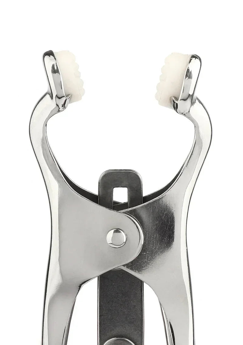 Bestel: Squeezer Nipple Clamps W Ring by Mr. Steel - bij Happytoys.nl, happytoys.be, Happytoys.ae: erotische sex webshop | liever Happy dan Easy ⭐⭐⭐⭐⭐