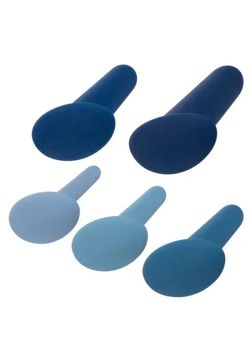 Bestel: They - ology 5 - Piece Wearable Anal Training Set by CalExotics - bij Happytoys.nl, happytoys.be, Happytoys.ae: erotische sex webshop | liever Happy dan Easy ⭐⭐⭐⭐⭐