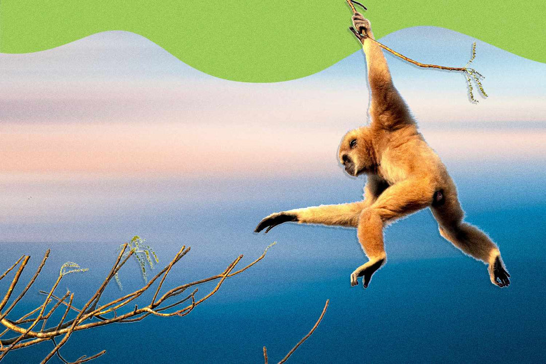 6 signalen dat je partner aan monkey branching doet