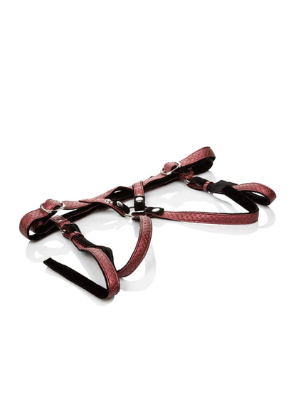 Beste vandaag nog: The Regal Duchess by CalExotics Her Royal Harness - bij Happytoys Sexshop: online sex shop for Feeling Happy & Easy 😊