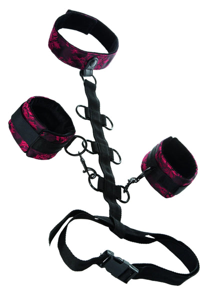 Bestel: Scandal Collar Body Restraint by CalExotics - bij Happytoys: de erotische sex webshop | liever Happy dan Easy ⭐⭐⭐⭐⭐ - Default Title - 13024 - BLACK