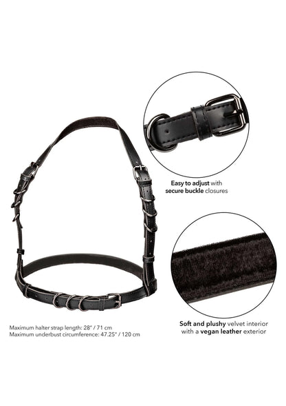 Bestel: Euphoria Collection Plus Size Halter Buckle Harness by CalExotics - bij Happytoys: de erotische sex webshop | liever Happy dan Easy ⭐⭐⭐⭐⭐