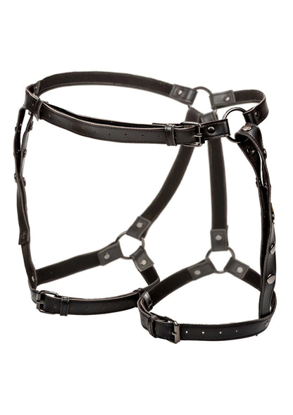 Bestel: Euphoria Collection Plus Size Riding Thigh Harness by CalExotics - bij Happytoys: de erotische sex webshop | liever Happy dan Easy ⭐⭐⭐⭐⭐ - Default Title - 16707 - BLACK