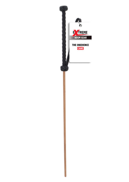 The Obedience Cane by Hidden Desire Extreme