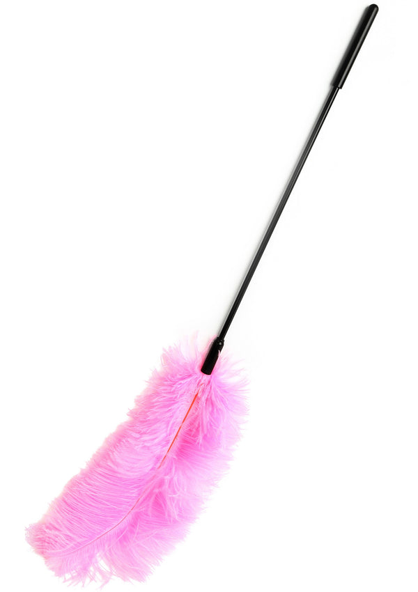 Double Feather Tickler by Hidden Desire Extreme