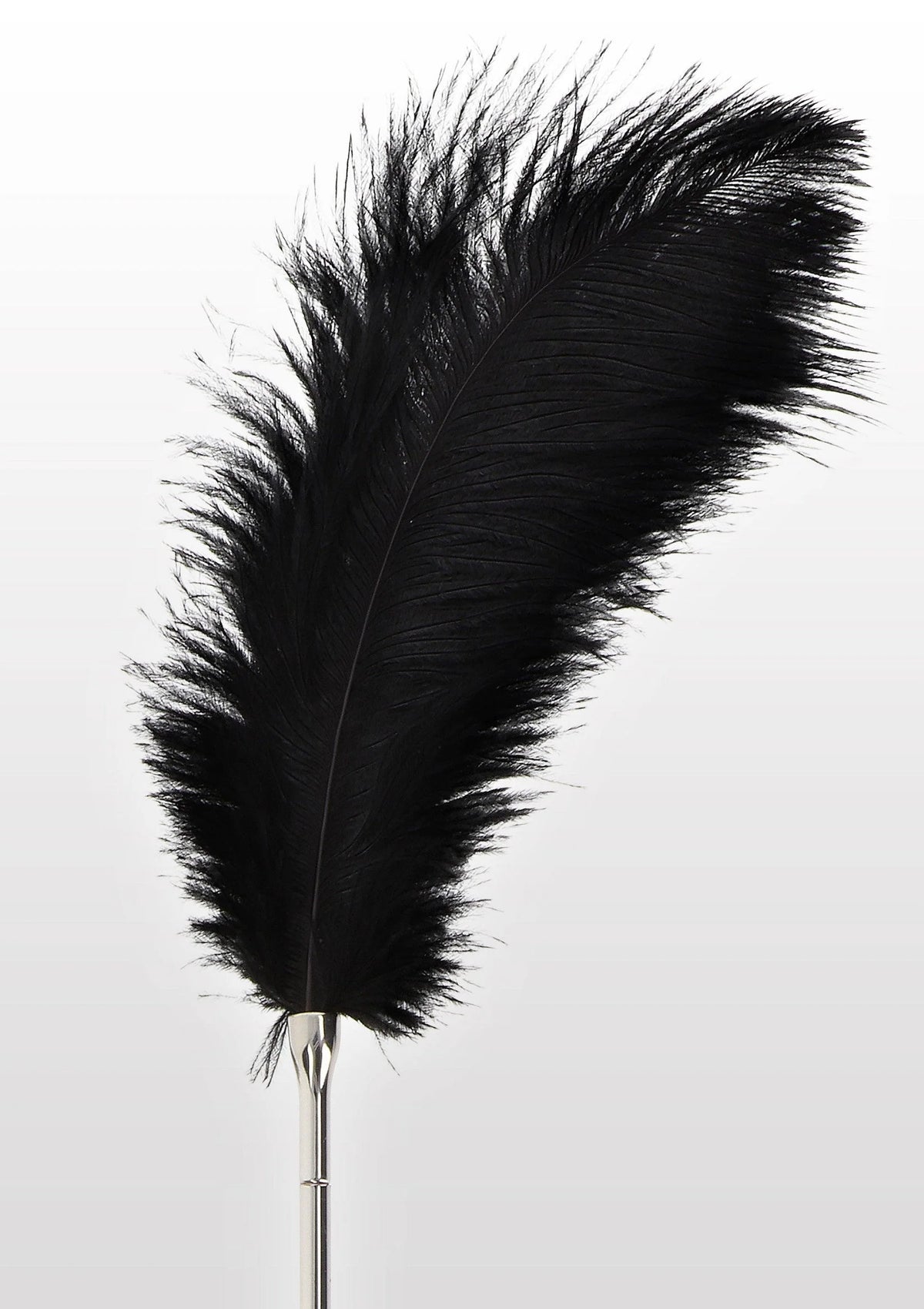 Bestel: Feather Tickler - bij Happytoys: de erotische sex webshop | liever Happy dan Easy ⭐⭐⭐⭐⭐