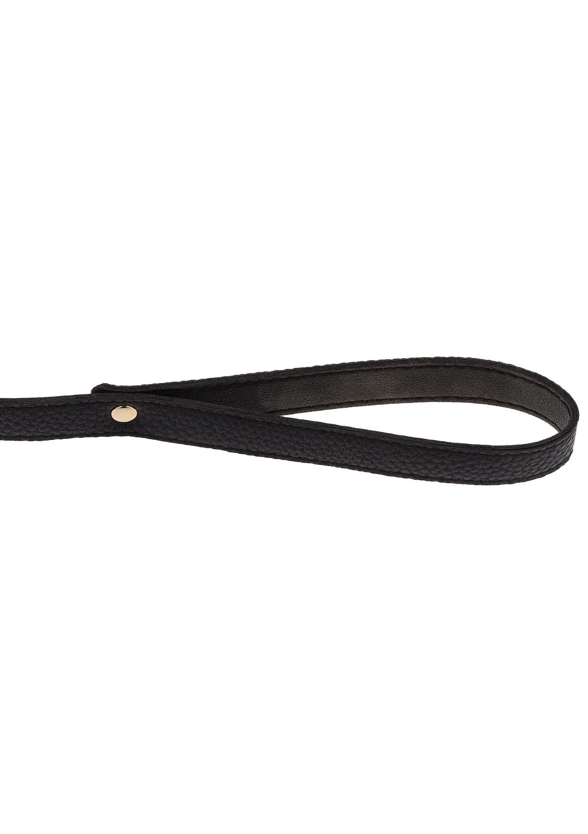 Bestel: Statement Collar and leash - bij Happytoys: de erotische sex webshop | liever Happy dan Easy ⭐⭐⭐⭐⭐