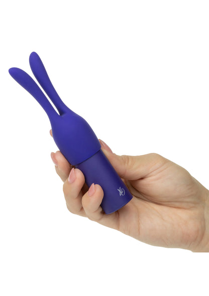 Pleasure Kits Temptation Collection by CalExoticsh Pleasure Kits
