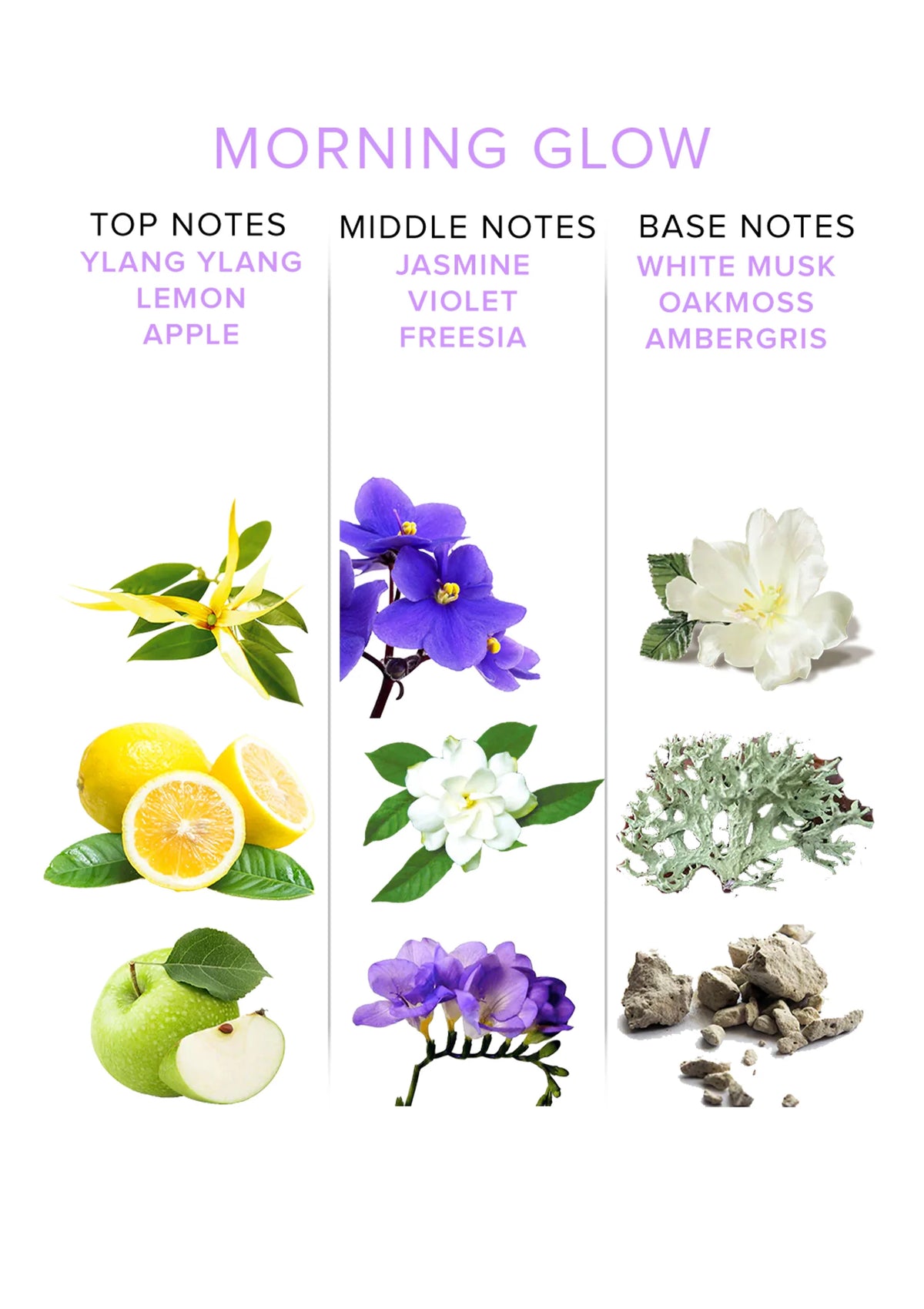 Bestel: Pheromone Attract Him 10 ml by Eye of Love Classic Collection - bij Happytoys.nl, happytoys.be, Happytoys.ae: erotische sex webshop | liever Happy dan Easy ⭐⭐⭐⭐⭐
