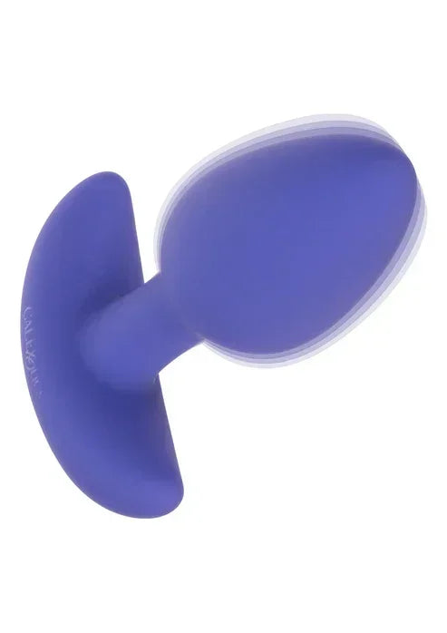 AppControledTaperedProbebyCalExotics3 @ Happytoys Sexshop: online sex shop for Feeling Happy & Easy 😊 the erotic store owned by a woman