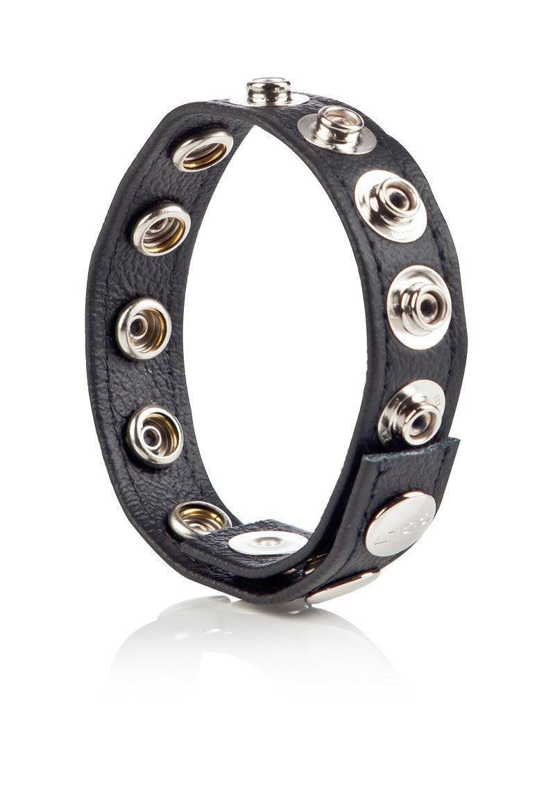 CalExotics-COLT-Leather-C-B-Strap-8-Snap-Fastener-Happytoys-Sexshop-Toys-for-Feeling-Happy-Easy-3555 @ Happytoys Sexshop: online sex shop for Feeling Happy & Easy 😊 the erotic store owned by a woman