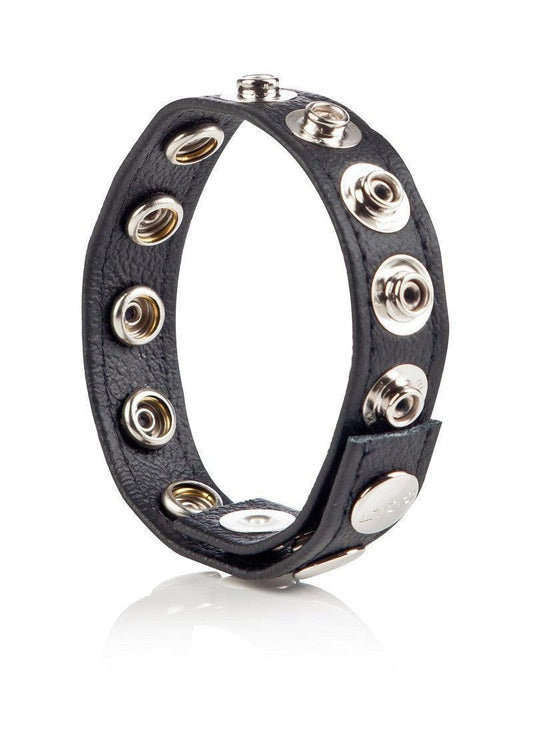 CalExotics-COLT-Leather-C-B-Strap-8-Snap-Fastener-Happytoys-Sexshop-Toys-for-Feeling-Happy-Easy-3555 @ Happytoys Sexshop: online sex shop for Feeling Happy & Easy 😊 the erotic store owned by a woman