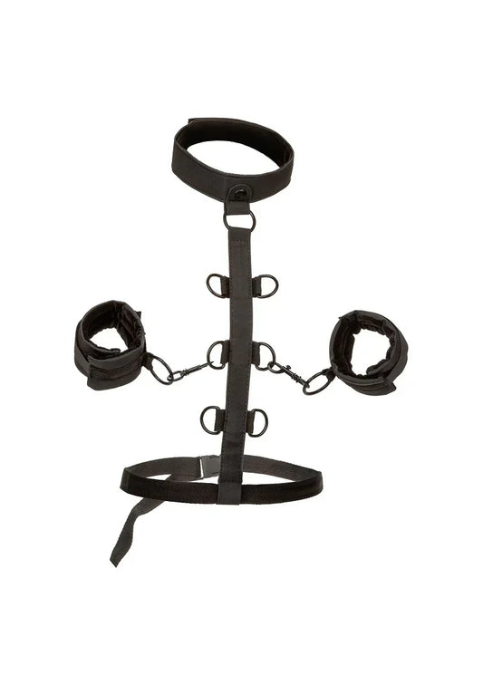 CalExoticsBoundlessCollarBodyRestraint1 @ Happytoys Sexshop: online sex shop for Feeling Happy & Easy 😊 the erotic store owned by a woman