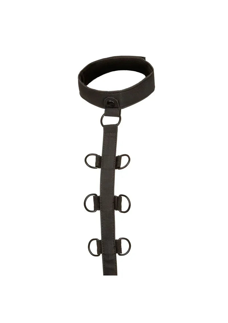 CalExoticsBoundlessCollarBodyRestraint4 @ Happytoys Sexshop: online sex shop for Feeling Happy & Easy 😊 the erotic store owned by a woman