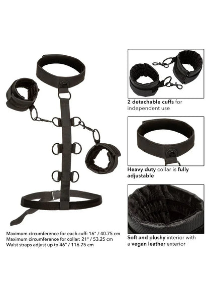 CalExoticsBoundlessCollarBodyRestraint6 @ Happytoys Sexshop: online sex shop for Feeling Happy & Easy 😊 the erotic store owned by a woman