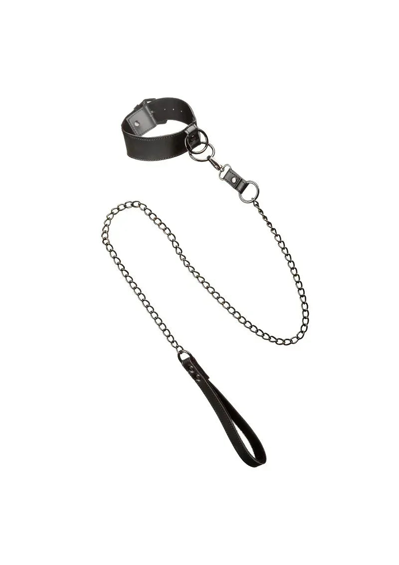 CalExoticsEuphoriaCollectionCollarwithChainLeash1 @ Happytoys Sexshop: online sex shop for Feeling Happy & Easy 😊 the erotic store owned by a woman