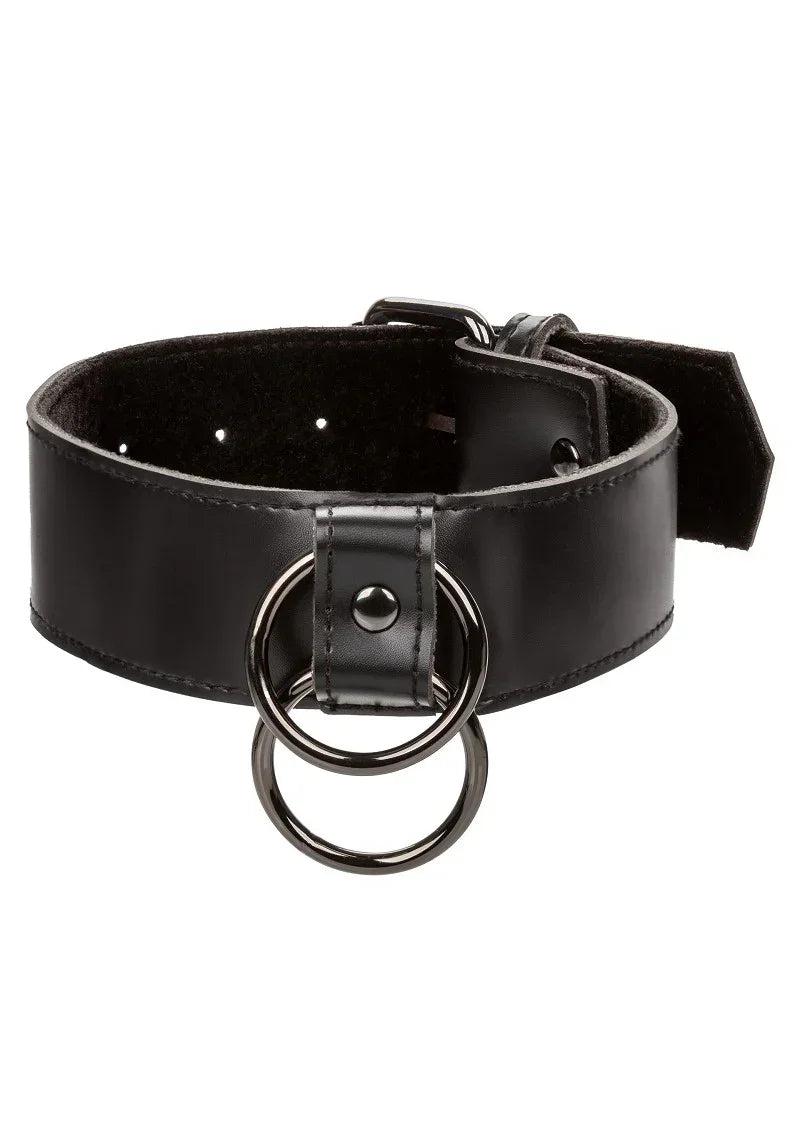 CalExoticsEuphoriaCollectionCollarwithChainLeash3 @ Happytoys Sexshop: online sex shop for Feeling Happy & Easy 😊 the erotic store owned by a woman