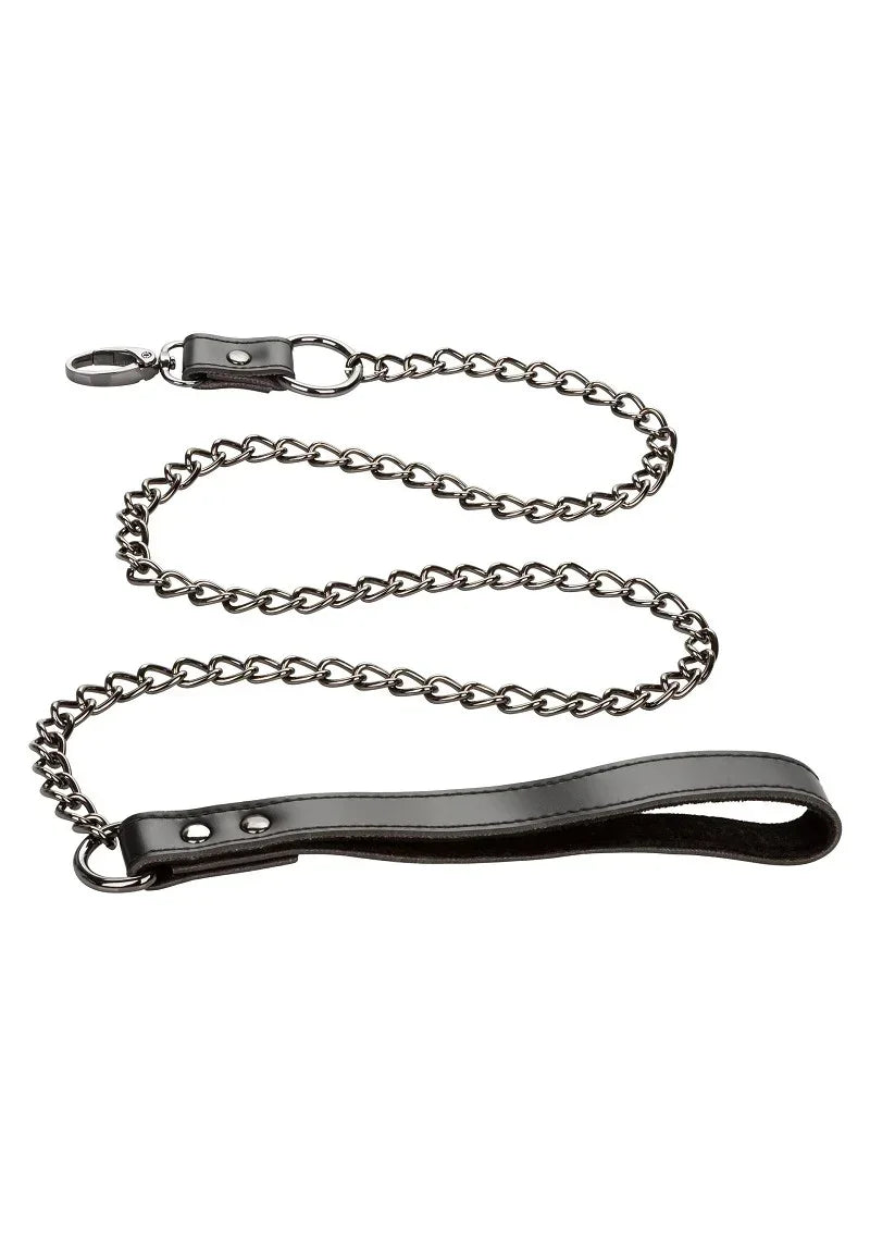 CalExoticsEuphoriaCollectionCollarwithChainLeash5 @ Happytoys Sexshop: online sex shop for Feeling Happy & Easy 😊 the erotic store owned by a woman