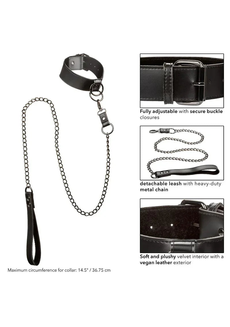 CalExoticsEuphoriaCollectionCollarwithChainLeash6 @ Happytoys Sexshop: online sex shop for Feeling Happy & Easy 😊 the erotic store owned by a woman