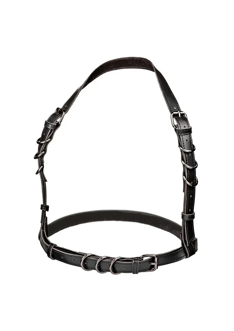 CalExoticsEuphoriaCollectionHalterBuckleHarness1 @ Happytoys Sexshop: online sex shop for Feeling Happy & Easy 😊 the erotic store owned by a woman