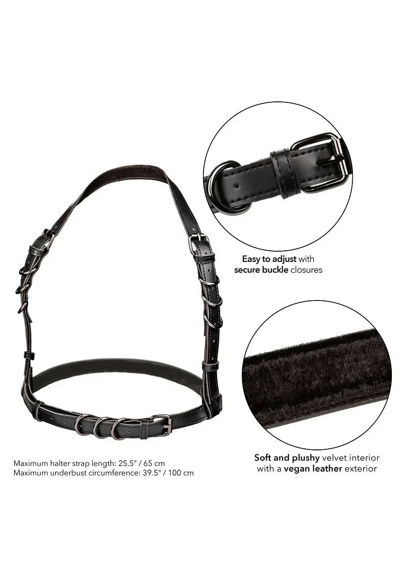 CalExoticsEuphoriaCollectionHalterBuckleHarness3 @ Happytoys Sexshop: online sex shop for Feeling Happy & Easy 😊 the erotic store owned by a woman