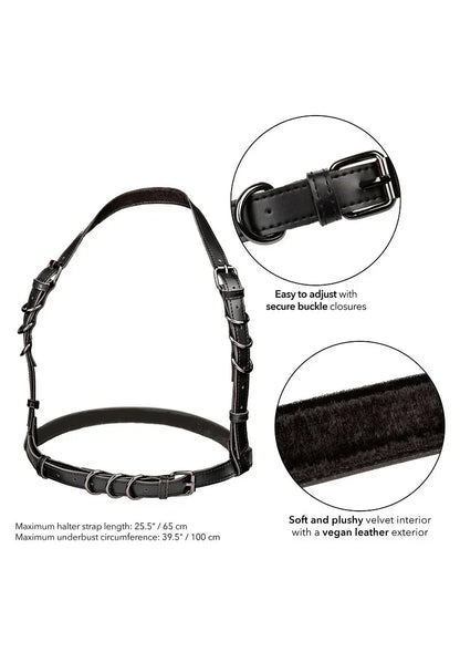 CalExoticsEuphoriaCollectionHalterBuckleHarness3 @ Happytoys Sexshop: online sex shop for Feeling Happy & Easy 😊 the erotic store owned by a woman