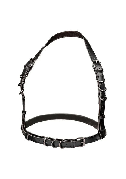CalExoticsEuphoriaCollectionPlusSizeHalterBuckleHarness1 @ Happytoys Sexshop: online sex shop for Feeling Happy & Easy 😊 the erotic store owned by a woman