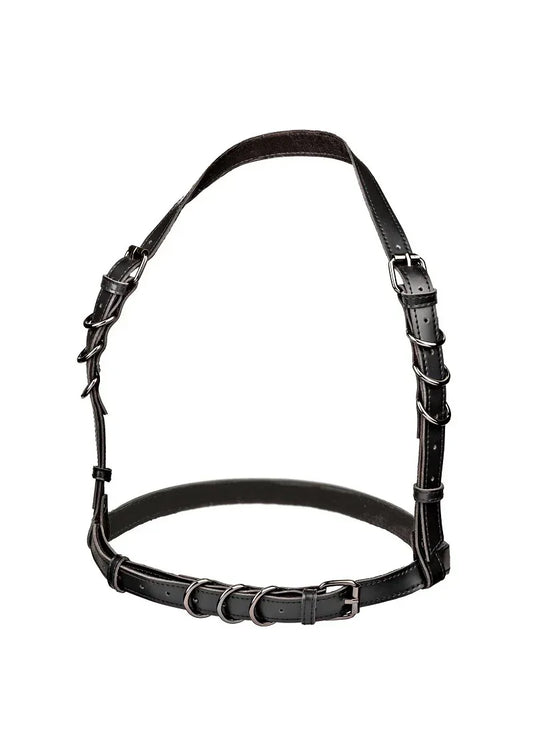 CalExoticsEuphoriaCollectionPlusSizeHalterBuckleHarness1 @ Happytoys Sexshop: online sex shop for Feeling Happy & Easy 😊 the erotic store owned by a woman