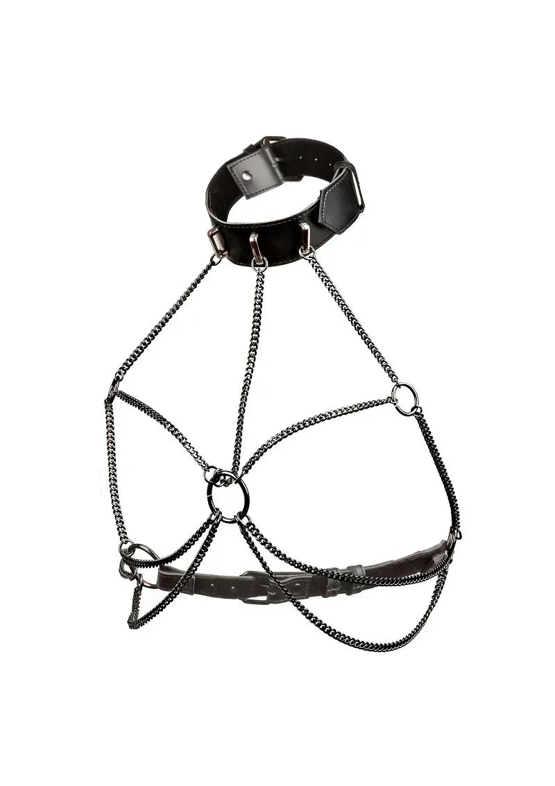 CalExoticsEuphoriaCollectionPlusSizeMultiChainCollarHarness1 @ Happytoys Sexshop: online sex shop for Feeling Happy & Easy 😊 the erotic store owned by a woman