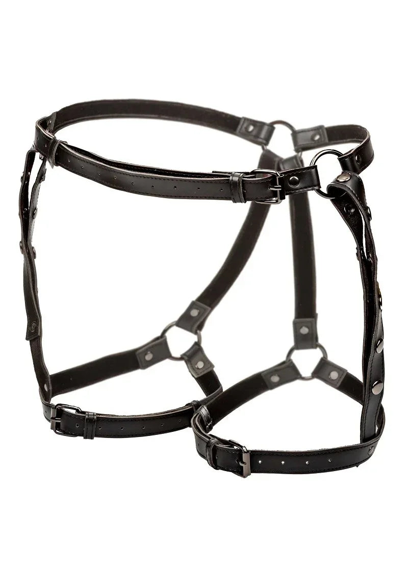 CalExoticsEuphoriaCollectionPlusSizeRidingThighHarness1 @ Happytoys Sexshop: online sex shop for Feeling Happy & Easy 😊 the erotic store owned by a woman