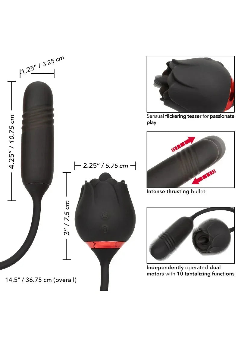 CalExoticsFrenchKissEliteRomeo3 @ Happytoys Sexshop: online sex shop for Feeling Happy & Easy 😊 the erotic store owned by a woman