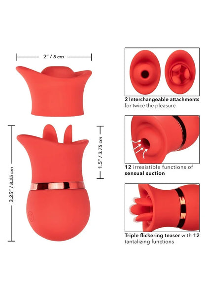 CalExoticsFrenchKissSuck_PlayInterchangeableSet3 @ Happytoys Sexshop: online sex shop for Feeling Happy & Easy 😊 the erotic store owned by a woman