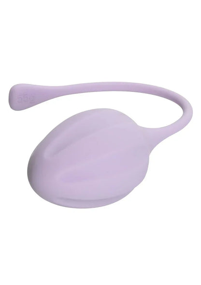 CalExoticsKegelTraining3-PieceSet8 @ Happytoys Sexshop: online sex shop for Feeling Happy & Easy 😊 the erotic store owned by a woman