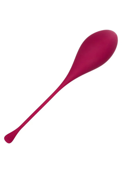 CalExoticsKegelTraining5-PieceSet15 @ Happytoys Sexshop: online sex shop for Feeling Happy & Easy 😊 the erotic store owned by a woman
