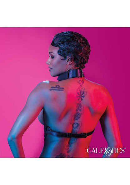CalExotics_Euphoria_Collection_Multi_Chain_Collar_Harness_Happytoys_Sexshop_liever_Happy_dan_Easy_-3240507 @ Happytoys Sexshop: online sex shop for Feeling Happy & Easy 😊 the erotic store owned by a woman