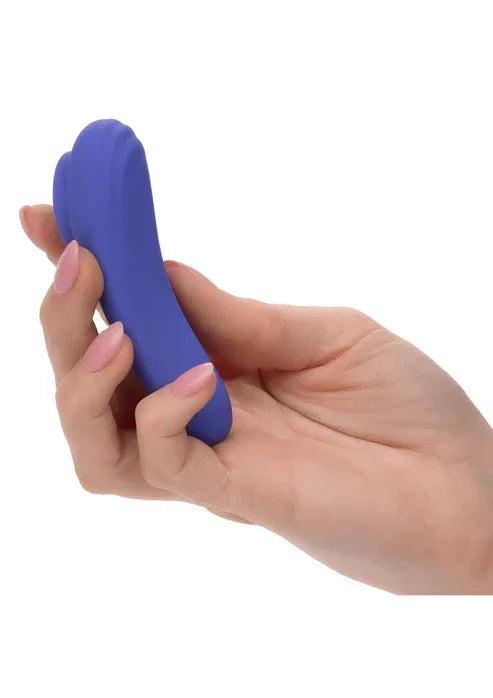 CalexConnectPantyTeaserbyCalExotics7 @ Happytoys Sexshop: online sex shop for Feeling Happy & Easy 😊 the erotic store owned by a woman