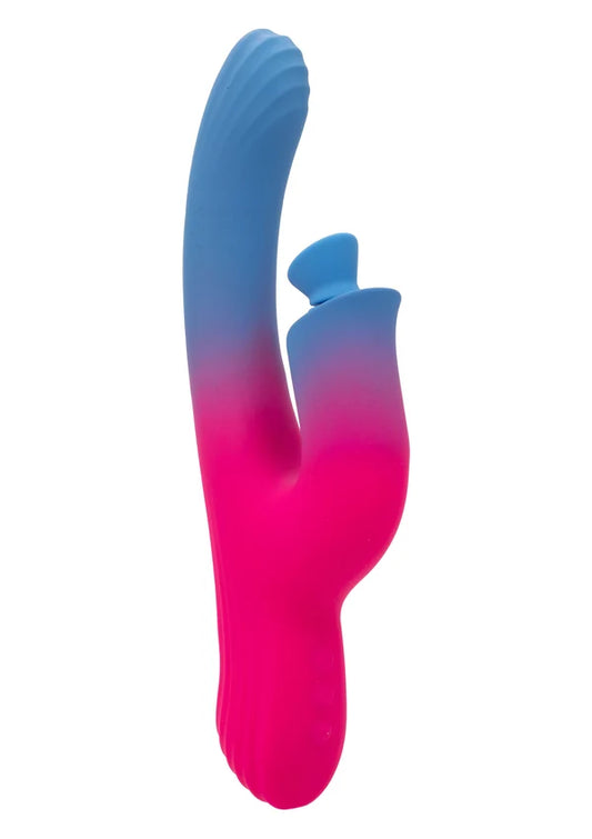 DualStimulatorSuctionVibratorbyCalExoticsElation1 | bestel discreet online bij Happytoys, de erotische webshop geleid door een vrouw.