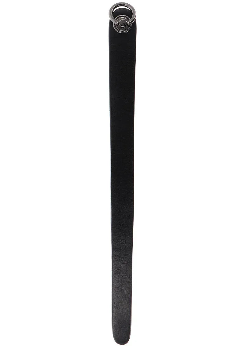 HiddenDesireMastersRealLeatherRuler4 @ Happytoys Sexshop: online sex shop for Feeling Happy & Easy 😊 the erotic store owned by a woman