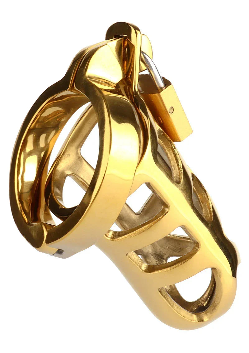 Mr-Steel-Brutal-Chastity-Cage-Gold-Happytoys-Sexshop-Toys-for-Feeling-Happy-Easy-4840 @ Happytoys Sexshop: online sex shop for Feeling Happy & Easy 😊 the erotic store owned by a woman