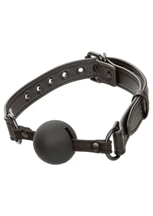 NocturnalBallGagbyCalExotics1 @ Happytoys Sexshop: online sex shop for Feeling Happy & Easy 😊 the erotic store owned by a woman