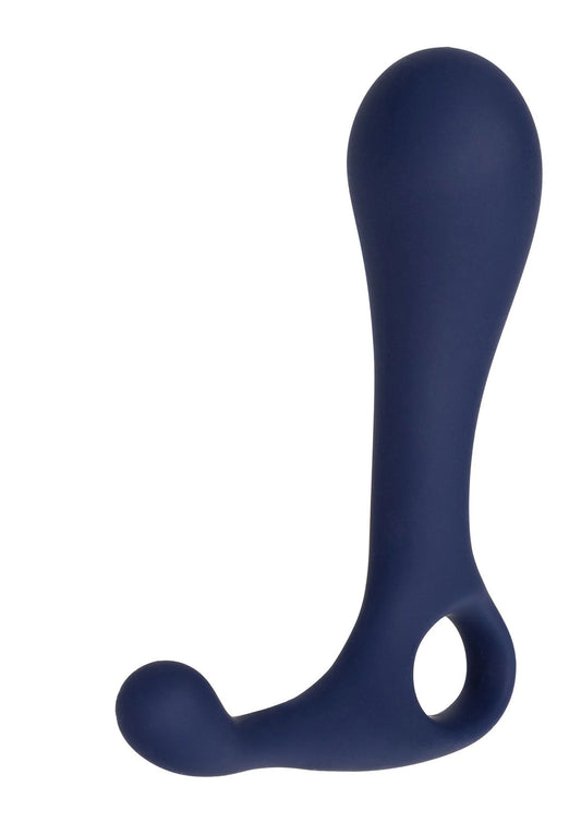 Bestel: Viceroy Direct Probe - bij Happytoys: de erotische sex webshop | liever Happy dan Easy ⭐⭐⭐⭐⭐ - Default Title - 14597 - BLUE