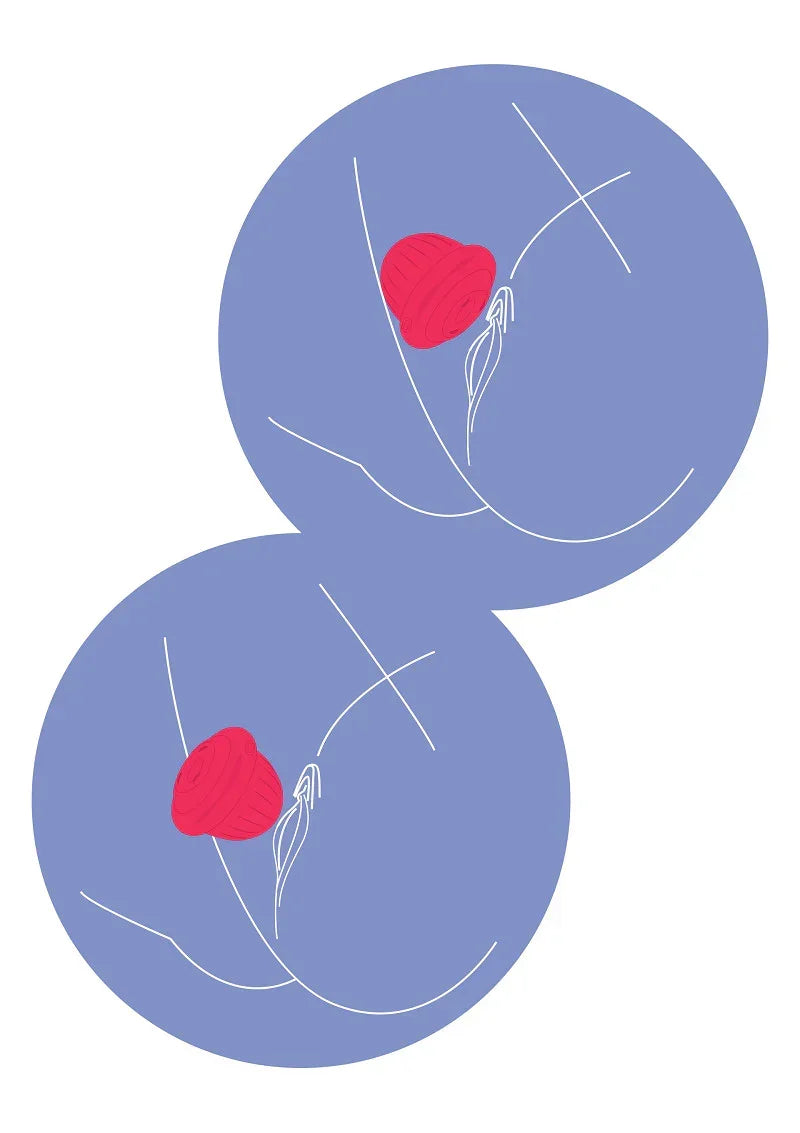 Xocoon-Pearl-Pulse-Duo-Stimulator-Happytoys-Sexshop-Toys-for-Feeling-Happy-Easy-4950 @ Happytoys Sexshop: online sex shop for Feeling Happy & Easy 😊 the erotic store owned by a woman